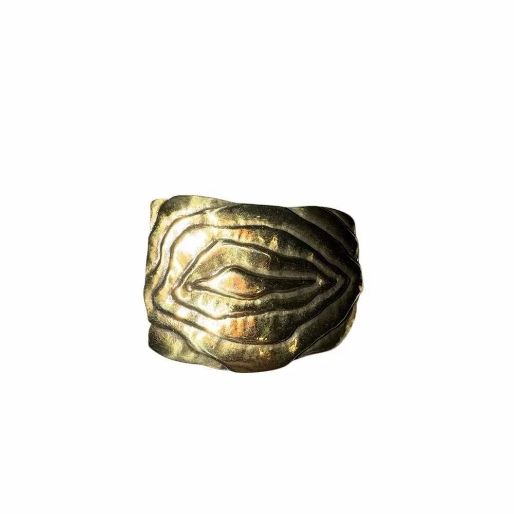 Anthropologie Gold belt buckle